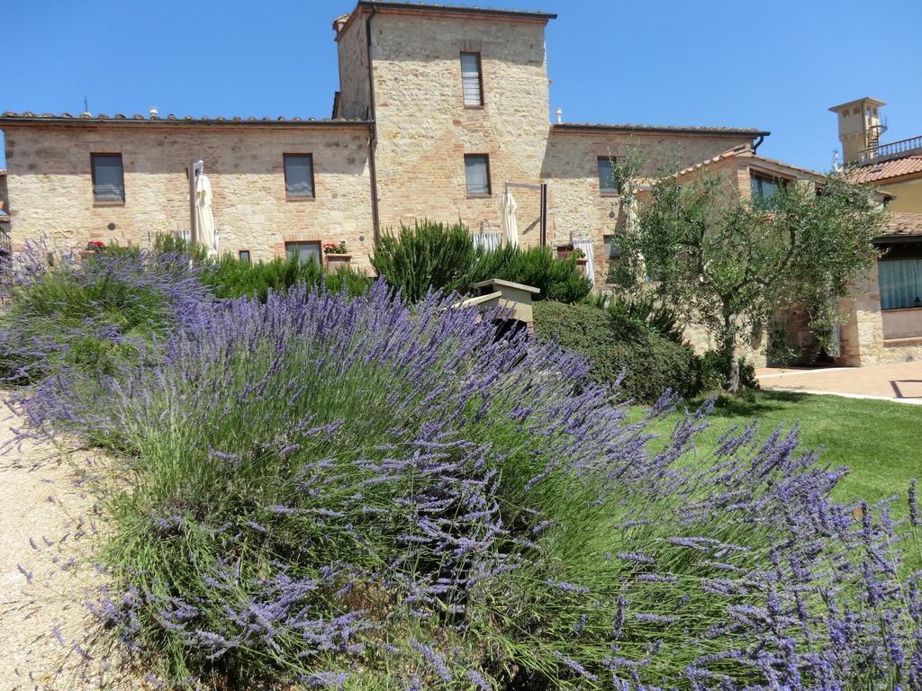Maison d'hôtes La Pieve Di San Martino à Colle Val D'Elsa Extérieur photo